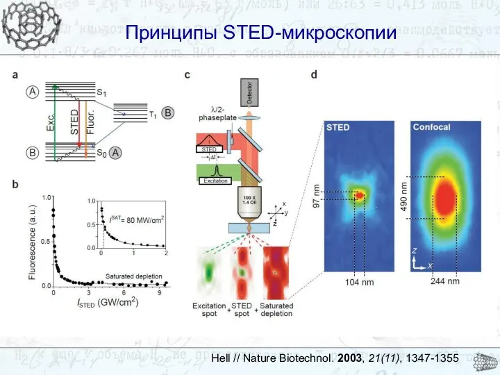 Принципы STED-микроскопии Принципы STED-микроскопии Hell // Nature Biotechnol. 2003, 21(11), 1347-1355