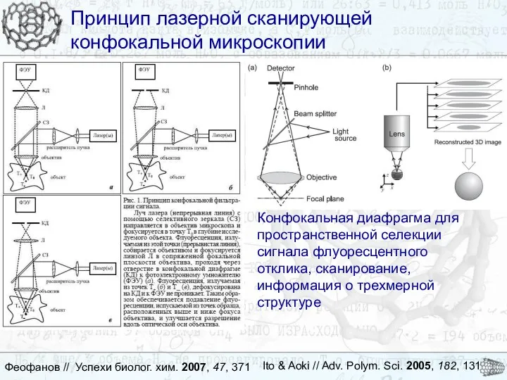 Принцип лазерной сканирующей конфокальной микроскопии Принцип лазерной сканирующей конфокальной микроскопии Ito