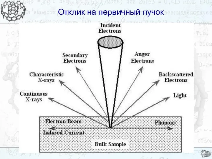 Отклик на первичный пучок Отклик на первичный пучок