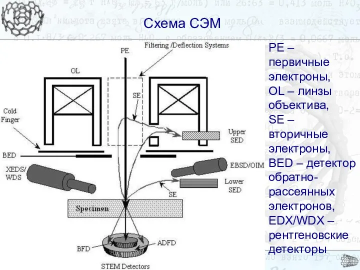 Схема СЭМ Схема СЭМ PE – первичные электроны, OL – линзы