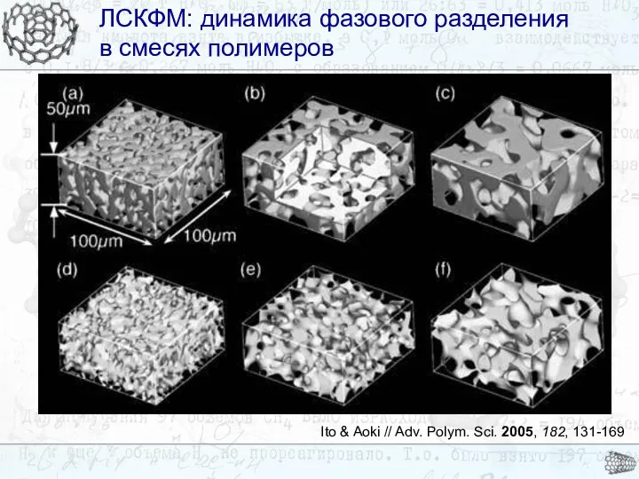 ЛСКФМ: динамика фазового разделения в смесях полимеров ЛСКФМ: динамика фазового разделения