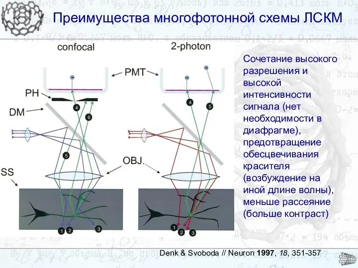 Преимущества многофотонной схемы ЛСКМ Преимущества многофотонной схемы ЛСКМ Denk & Svoboda