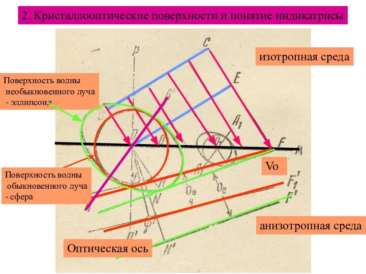 2. Кристаллооптические поверхности и понятие индикатрисы Поверхность волны обыкновенного луча -