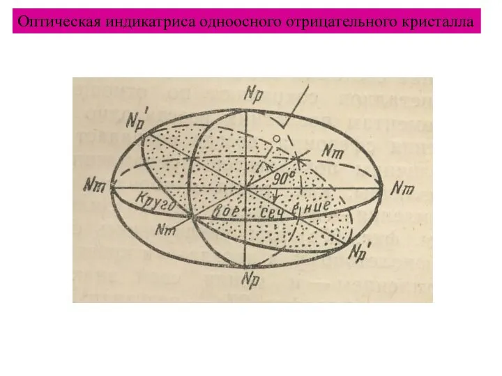 Оптическая индикатриса одноосного отрицательного кристалла