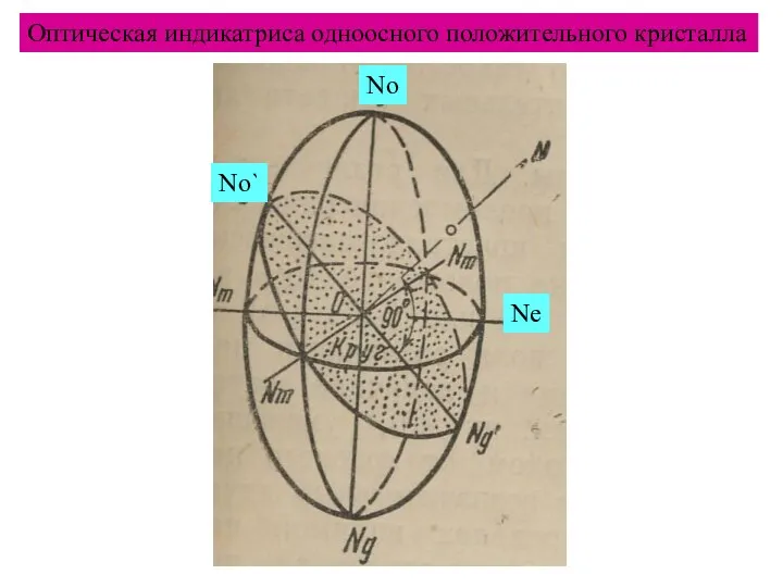 Оптическая индикатриса одноосного положительного кристалла No Ne No`
