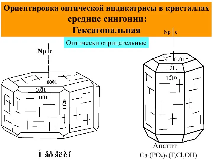 Ориентировка оптической индикатрисы в кристаллах средние сингонии: Гексагональная Оптически отрицательные Апатит Ca5(PO4)3 (F,Cl,OH)