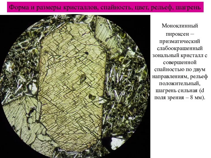 Форма и размеры кристаллов, спайность, цвет, рельеф, шагрень Моноклинный пироксен –