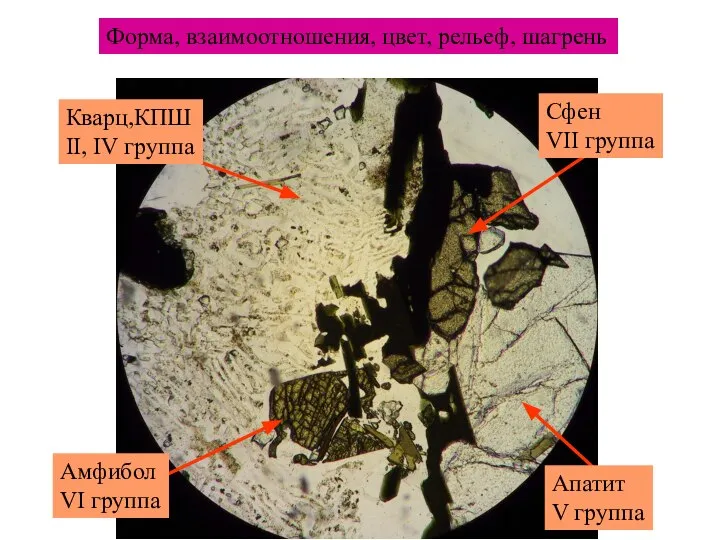 Форма, взаимоотношения, цвет, рельеф, шагрень Апатит V группа Сфен VII группа
