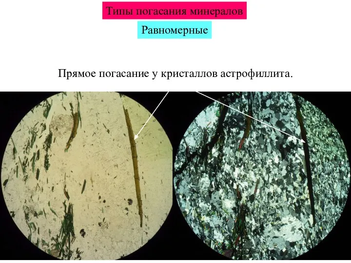 Типы погасания минералов Равномерные Прямое погасание у кристаллов астрофиллита.