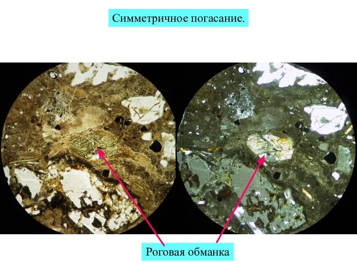 Симметричное погасание. Роговая обманка