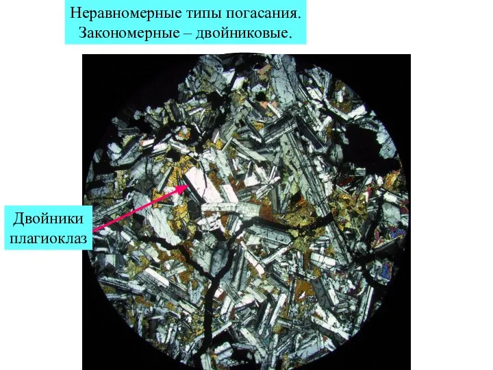 Неравномерные типы погасания. Закономерные – двойниковые. Двойники плагиоклаз