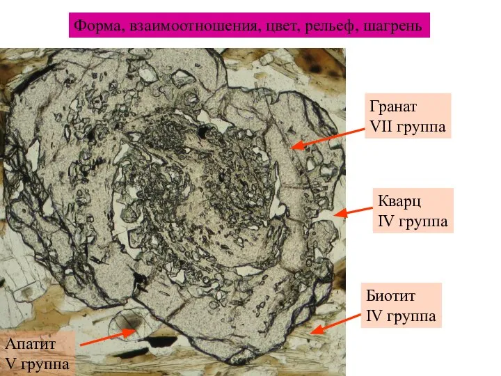 Форма, взаимоотношения, цвет, рельеф, шагрень Апатит V группа Гранат VII группа