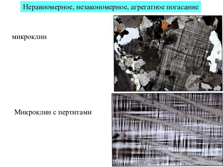 Неравномерное, незакономерное, агрегатное погасание микроклин Микроклин с пертитами