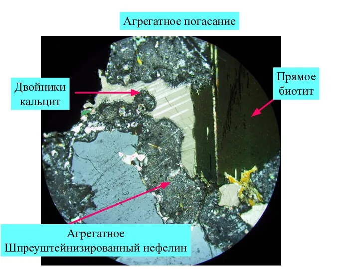 Агрегатное Шпреуштейнизированный нефелин Прямое биотит Двойники кальцит Агрегатное погасание