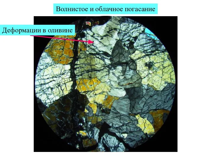 Волнистое и облачное погасание Деформации в оливине
