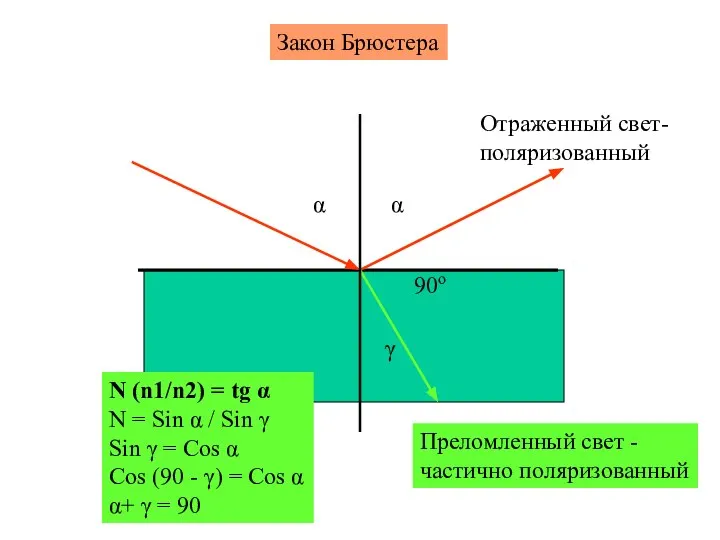 Закон Брюстера α γ α Отраженный свет- поляризованный Преломленный свет -