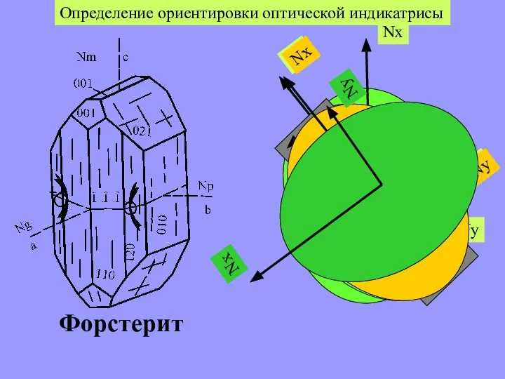 Определение ориентировки оптической индикатрисы Форстерит