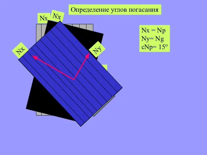 Nx = Np Ny= Ng cNp= 15o Определение углов погасания