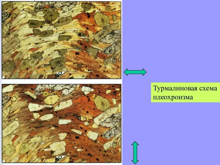 Турмалиновая схема плеохроизма