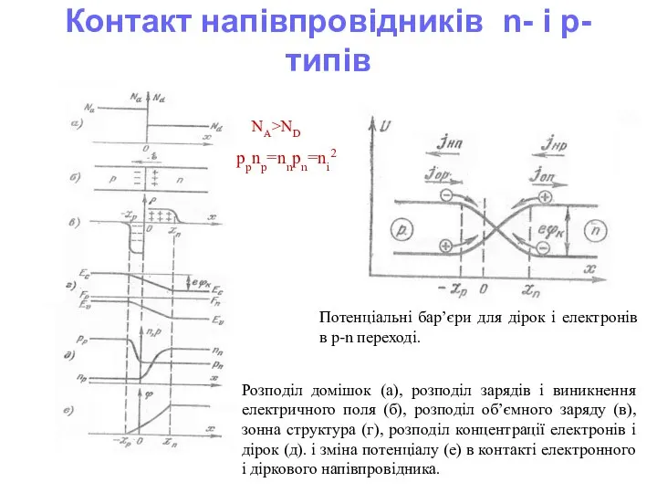 Контакт напівпровідників n- і p- типів ppnp=nnpn=ni2 Розподіл домішок (а), розподіл