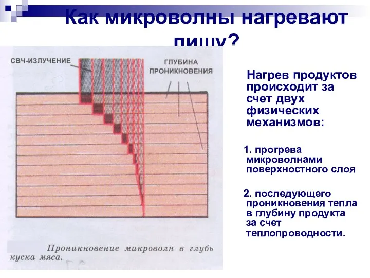 Как микроволны нагревают пищу? Нагрев продуктов происходит за счет двух физических