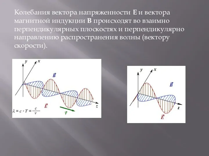 Колебания вектора напряженности E и вектора магнитной индукции B происходят во