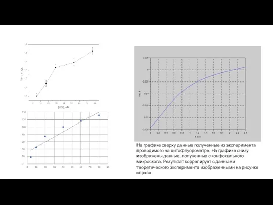 На графике сверху данные полученные из эксперимента проводимого на цитофлуорометре. На