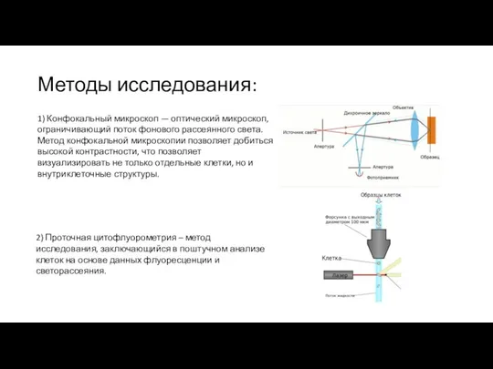 Методы исследования: 1) Конфокальный микроскоп — оптический микроскоп, ограничивающий поток фонового