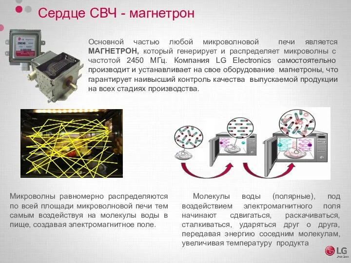 Сердце СВЧ - магнетрон Основной частью любой микроволновой печи является МАГНЕТРОН,