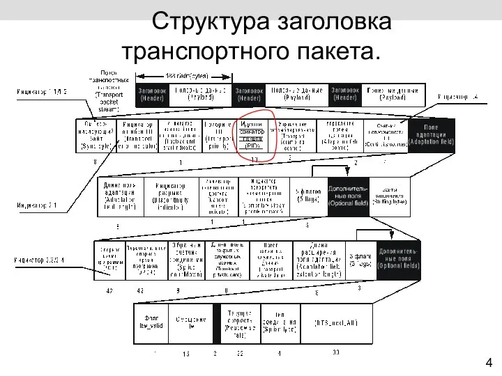 4 Структура заголовка транспортного пакета.