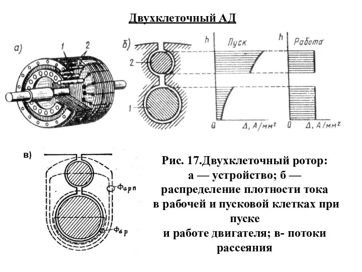 Двухклеточный АД Рис. 17.Двухклеточный ротор: а — устройство; б — распределение