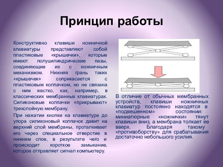 Принцип работы Конструктивно клавиши ножничной клавиатуры представляют собой пластиковые «крышечки», которые