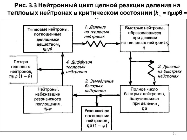 Рис. 3.3 Нейтронный цикл цепной реакции деления на тепловых нейтронах в