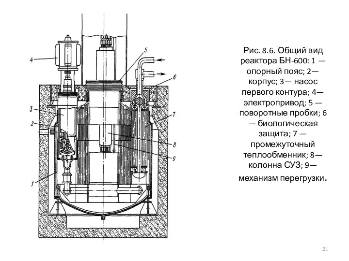 Рис. 8.6. Общий вид реактора БН-600: 1 — опорный пояс; 2—