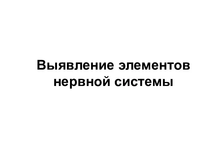 Выявление элементов нервной системы