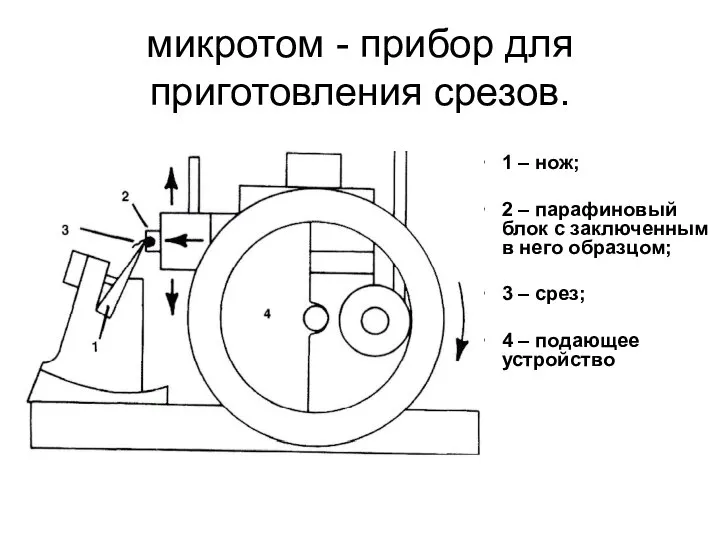 микротом - прибор для приготовления срезов. 1 – нож; 2 –