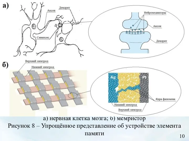 а) нервная клетка мозга; б) мемристор Рисунок 8 – Упрощённое представление об устройстве элемента памяти 10