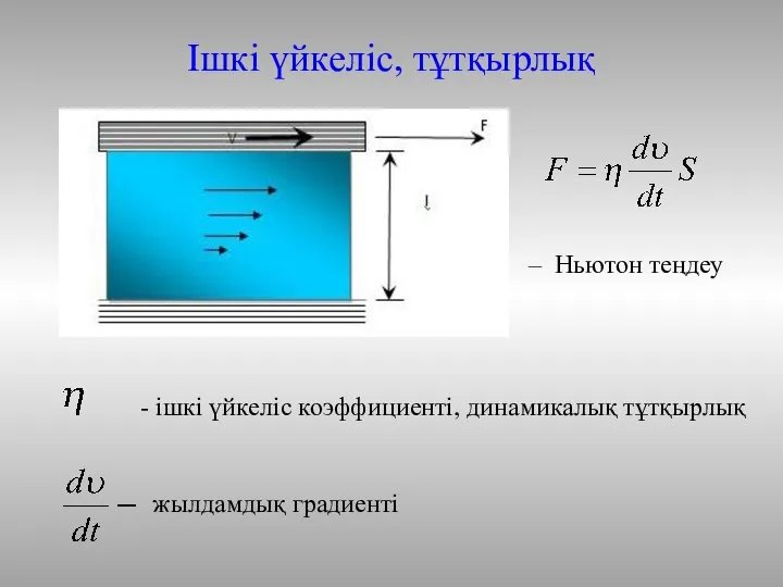 Ішкі үйкеліс, тұтқырлық – Ньютон теңдеу жылдамдық градиенті - ішкі үйкеліс коэффициенті, динамикалық тұтқырлық