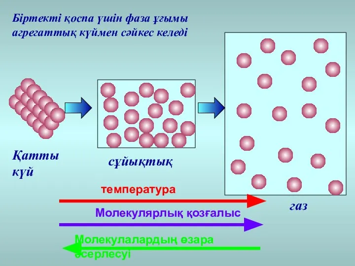 температура Молекулярлық қозғалыс Молекулалардың өзара әсерлесуі Қатты күй сұйықтық газ Біртекті