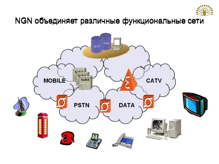 NGN объединяет различные функциональные сети NGN объединяет различные функциональные сети