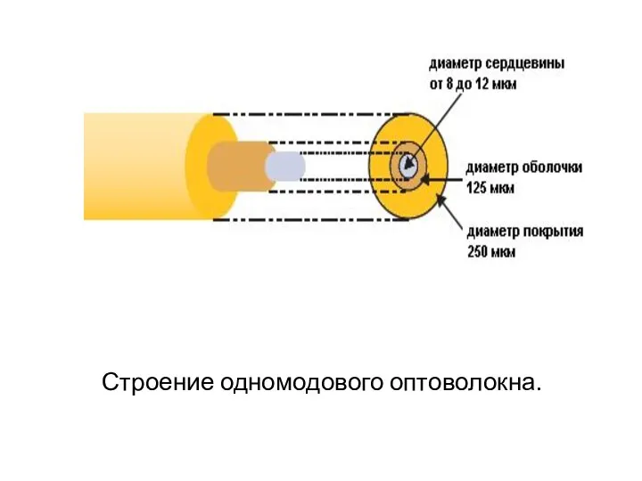 Строение одномодового оптоволокна.