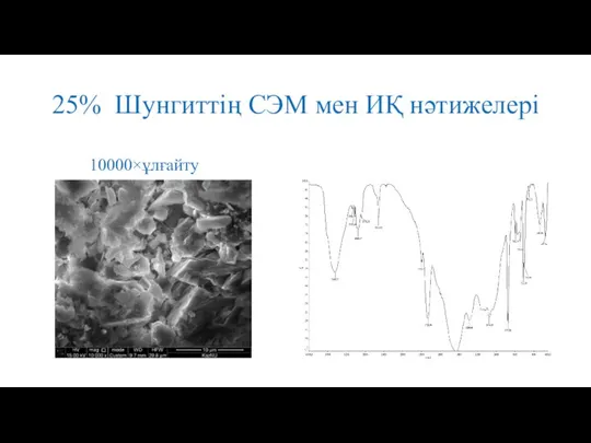 25% Шунгиттің СЭМ мен ИҚ нәтижелері 10000×ұлғайту