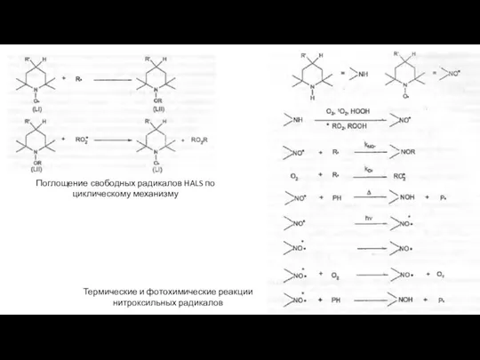 Поглощение свободных радикалов HALS по циклическому механизму Термические и фотохимические реакции нитроксильных радикалов