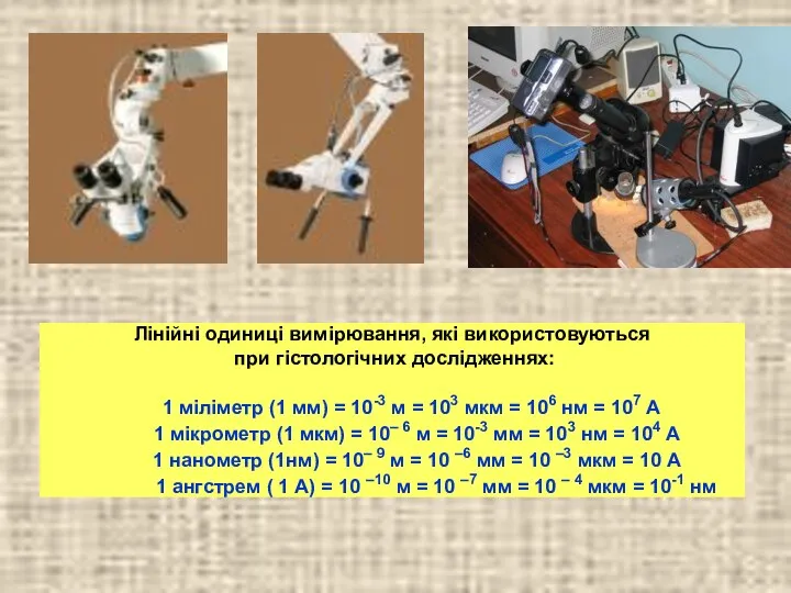 Лінійні одиниці вимірювання, які використовуються при гістологічних дослідженнях: 1 міліметр (1