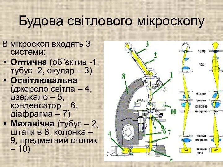 Будова світлового мікроскопу В мікроскоп входять 3 системи: Оптична (об”єктив -1,