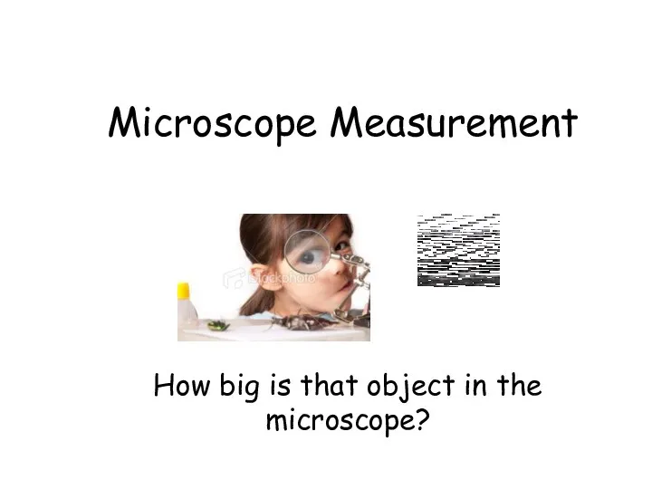 Microscope Measurement How big is that object in the microscope?