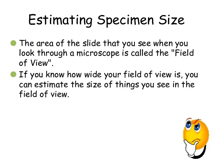 Estimating Specimen Size The area of the slide that you see