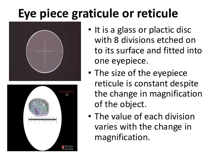 Eye piece graticule or reticule It is a glass or plactic