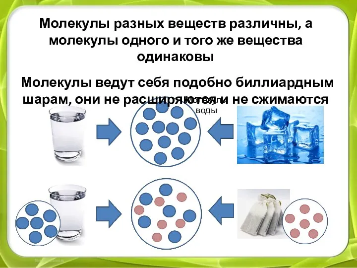 Молекулы воды Молекулы разных веществ различны, а молекулы одного и того