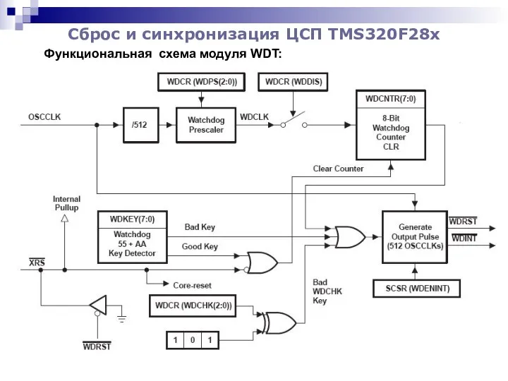 Сброс и синхронизация ЦСП TMS320F28x Функциональная схема модуля WDT: